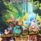 member slot wallet